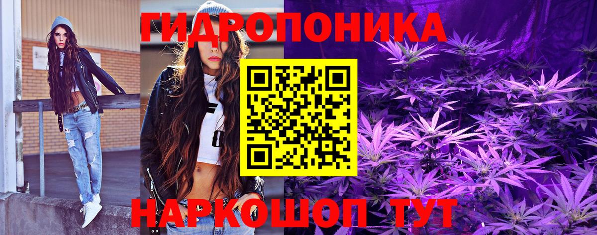 Конопля SATIVA & INDICA  Шишки марихуана марихуана  Вход с VPN  Марихуана сатива  Заволжье 